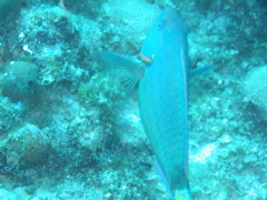 IMG_1066.JPG