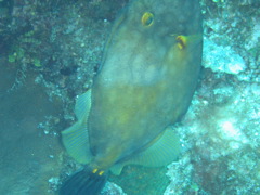 IMG_1069.JPG