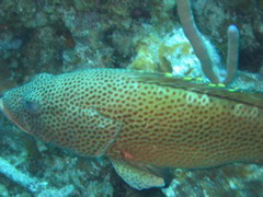IMG_1072.JPG