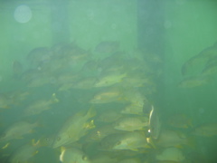 IMG_0970.JPG