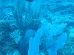 IMG_0943.JPG