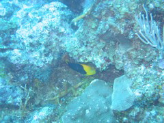 IMG_0948.JPG