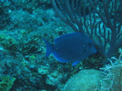 IMG_0953.JPG