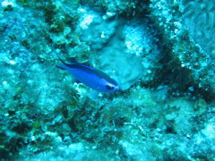 IMG_0954.JPG