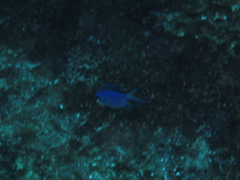 IMG_0956.JPG