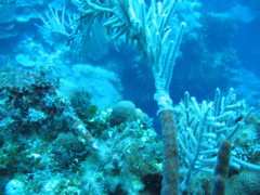 IMG_0958.JPG