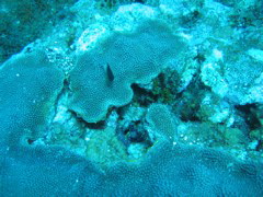 IMG_0961.JPG