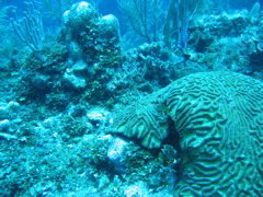 IMG_0965.JPG