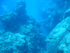 IMG_0966.JPG