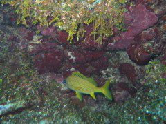 IMG_0967.JPG