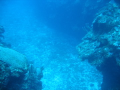 IMG_0968.JPG