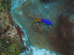 IMG_0979.JPG