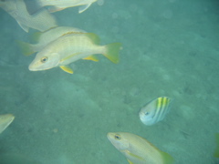 IMG_0922.JPG