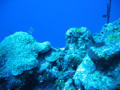 IMG_0984.JPG