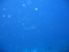 IMG_0996.JPG