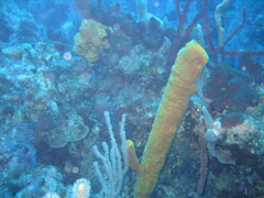 IMG_0997.JPG