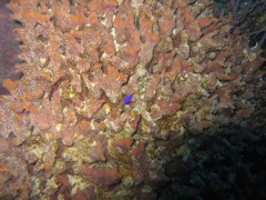 IMG_0999.JPG