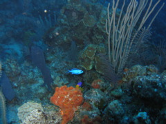 IMG_1000.JPG