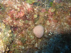 IMG_1001.JPG