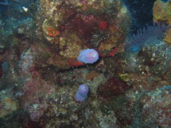 IMG_1002.JPG
