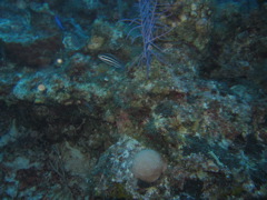 IMG_1003.JPG
