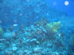 IMG_1004.JPG
