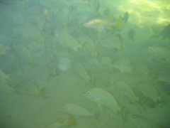 IMG_0925.JPG