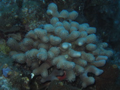 IMG_1009.JPG