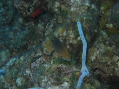 IMG_1010.JPG
