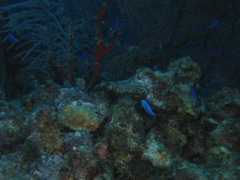 IMG_1011.JPG