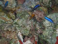 IMG_1012.JPG