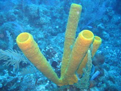 IMG_1014.JPG
