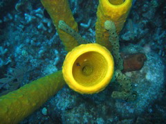 IMG_1015.JPG