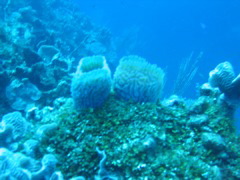 IMG_0936.JPG