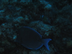 IMG_1021.JPG