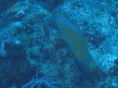 IMG_1023.JPG