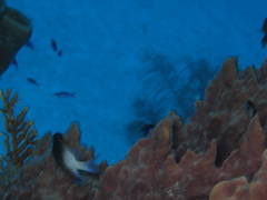 IMG_1025.JPG