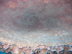 IMG_1026.JPG
