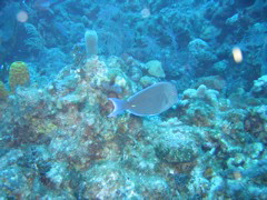 IMG_1027.JPG