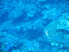 IMG_0937.JPG