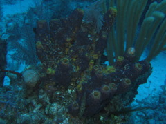 IMG_1032.JPG