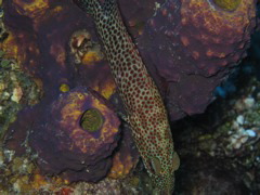 IMG_1033.JPG