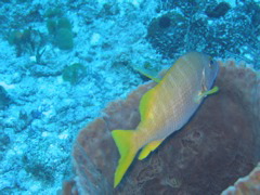 IMG_1035.JPG