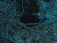 IMG_1037.JPG
