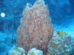 IMG_1038.JPG