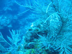 IMG_0938.JPG