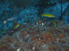 IMG_1040.JPG