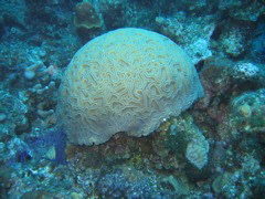 IMG_1044.JPG