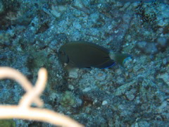 IMG_1046.JPG
