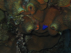 IMG_1047.JPG